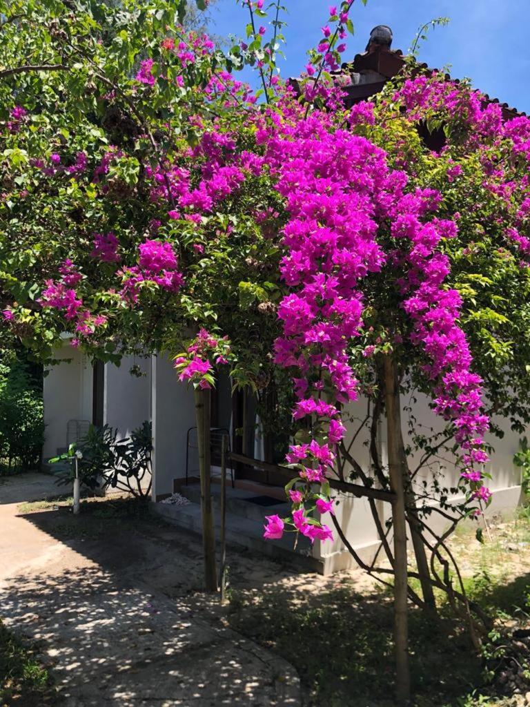 Biru Meno Beach Bungalows Gili Meno Buitenkant foto